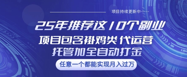 25年推荐这10个副业项目包含褂鸡类、代运营托管类、全自动打金类【揭秘】-陈泽网创-资源网-最新项目分享网