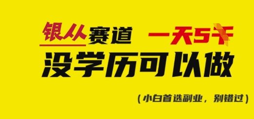 靠银从证书，日入多张，会截图就能做，直接抄答案(附：银从合集)-陈泽网创-资源网-最新项目分享网