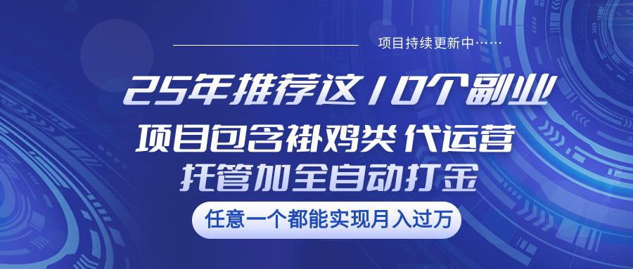 25年推荐这10个副业 项目包含褂鸡类、代运营托管类、全自动打金类-陈泽网创-资源网-最新项目分享网