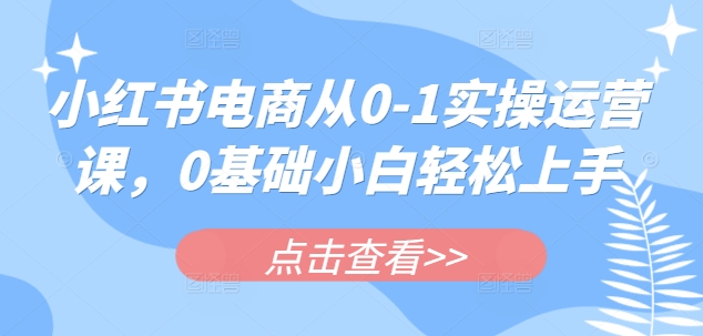 小红书电商从0-1实操运营课，0基础小白轻松上手-陈泽网创-资源网-最新项目分享网