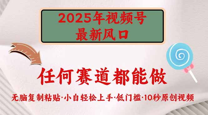 2025年视频号新风口，低门槛只需要无脑执行-陈泽网创-资源网-最新项目分享网