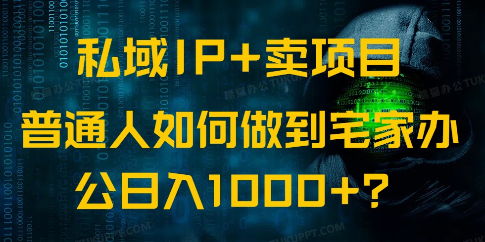 私域IP+卖项目，普通人如何做到宅家办公实现日入1000+-陈泽网创-资源网-最新项目分享网