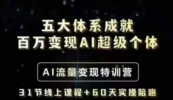 五大体系成就百万变现AI超级个体- AI流量变现特训营，一步一步教你一个人怎么年入百W-陈泽网创-资源网-最新项目分享网