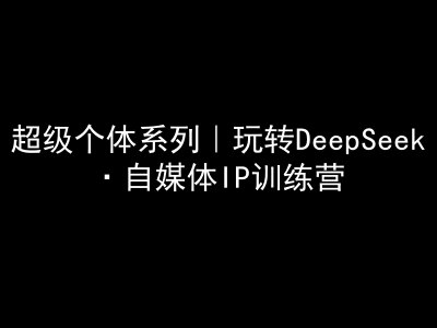 超级个体系列，玩转DeepSeek·自媒体IP训练营，deepseek教程-陈泽网创-资源网-最新项目分享网