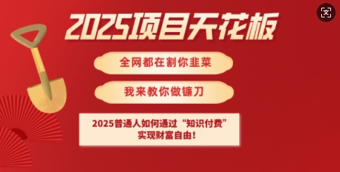 2025项目天花板普通人如何通过知识付费，实现财F自由【揭秘】-陈泽网创-资源网-最新项目分享网