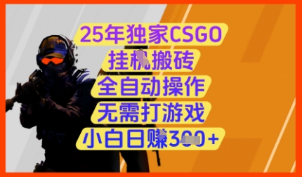 25年独家CSGO挂G搬砖，全自动操作，无需打游戏，小白日入3张+【揭秘】-陈泽网创-资源网-最新项目分享网