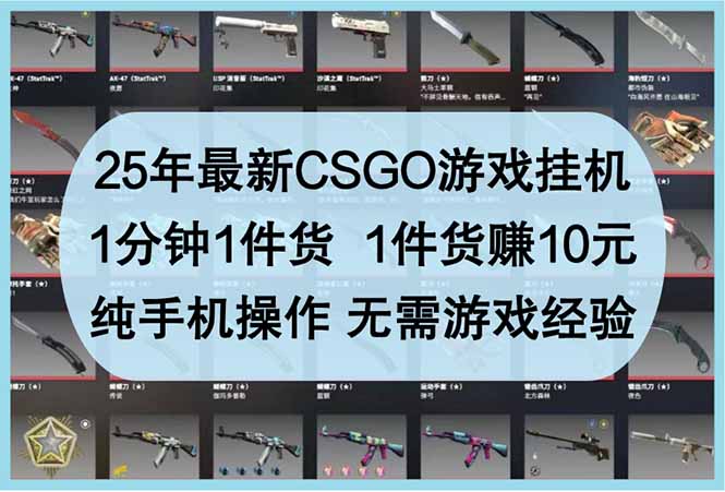 25年最新CSGO游戏挂机，1分钟1件货，1件货赚10元 纯手机操作 无需游戏经验-陈泽网创-资源网-最新项目分享网