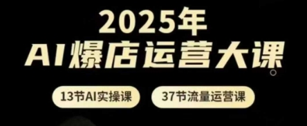 2025年AI爆店运营大课，13节AI实操课+37节流量运营课-陈泽网创-资源网-最新项目分享网