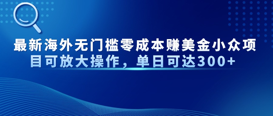 最新海外无门槛零成本赚美金小众项目可放大操作，单日可达300+-陈泽网创-资源网-最新项目分享网