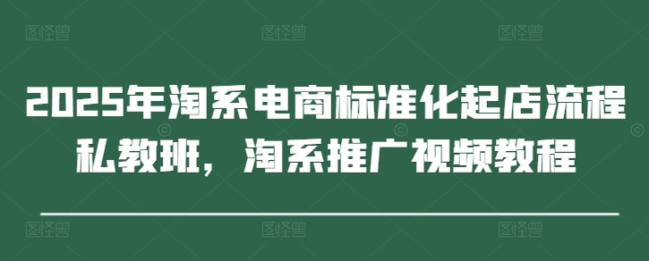2025年淘系电商标准化起店流程私教班，淘系推广视频教程-陈泽网创-资源网-最新项目分享网