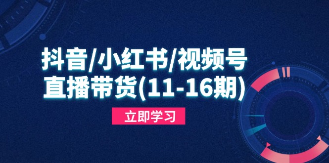 抖音/小红书/视频号/直播带货(11-16期-陈泽网创-资源网-最新项目分享网