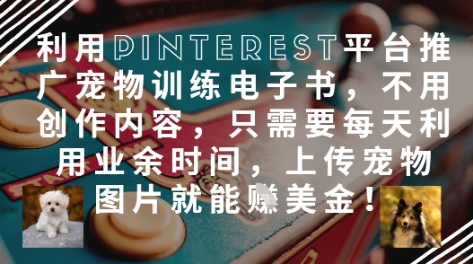 利用Pinterest平台推广宠物训练电子书，不用创作内容，只需要每天利用业余时间，上传宠物图片就能挣美金!-陈泽网创-资源网-最新项目分享网
