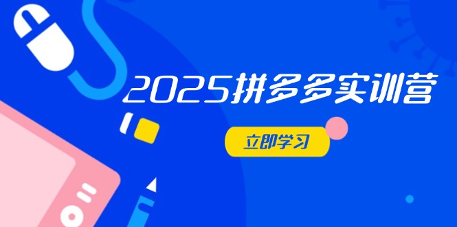 2025拼多多实训营：深度剖析运营关键，助力电商人快速提升-陈泽网创-资源网-最新项目分享网