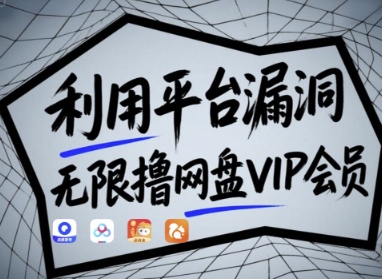 利用平台漏洞，无限撸网盘VIP会员，用户亲测有效!【漏洞原理+操作演示】-陈泽网创-资源网-最新项目分享网