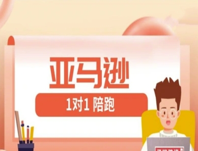 亚马逊1对1陪跑课(FBA/FBM精铺)跨境亚马逊教程-陈泽网创-资源网-最新项目分享网
