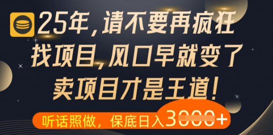 什么？25年你还在疯狂找项目做，醒醒吧，看完这些你全都懂了【揭秘】-陈泽网创-资源网-最新项目分享网