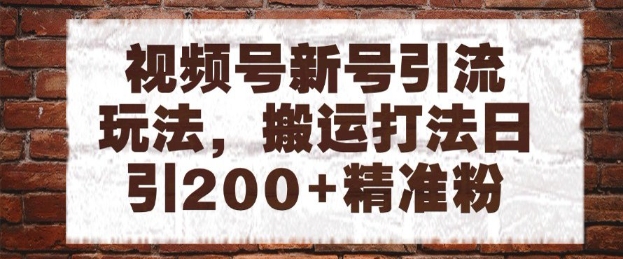 视频号新号引流玩法，搬运打法日引200+精准粉，可矩阵放大【揭秘】-陈泽网创-资源网-最新项目分享网