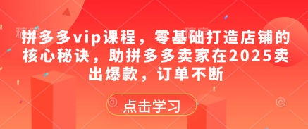 拼多多vip课程，零基础打造店铺的核心秘诀，助拼多多卖家在2025卖出爆款，订单不断-陈泽网创-资源网-最新项目分享网
