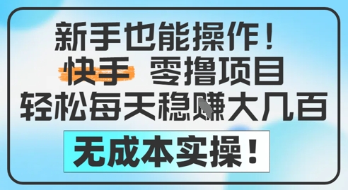 新手也能操作，快手零撸挣米，轻松每天挣2-5张，完全无成本-陈泽网创-资源网-最新项目分享网