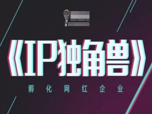 IP独角兽，孵化网红企业，ip教程-陈泽网创-资源网-最新项目分享网