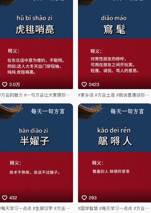 抖音最新涨粉玩法，图文方言暴力涨粉实操，126作品涨粉11W-陈泽网创-资源网-最新项目分享网