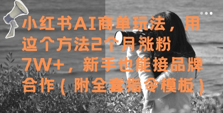 小红书AI商单玩法，用这个方法2个月涨粉7W+，新手也能接品牌合作(附全套指令模板)-陈泽网创-资源网-最新项目分享网
