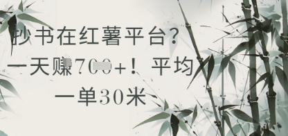 抄书在小红薯平台？平均一单30米，一天收益几张！-陈泽网创-资源网-最新项目分享网