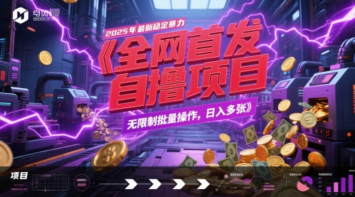 全网首发，2025年最新稳定暴力全自动自撸项目，无限制批量操作，日入多张【揭秘】-陈泽网创-资源网-最新项目分享网