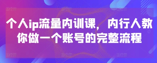 个人ip流量内训课，内行人教你做一个账号的完整流程-陈泽网创-资源网-最新项目分享网