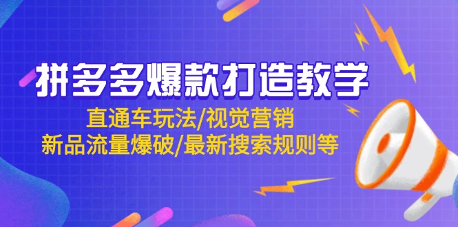 拼多多爆款打造教学：直通车玩法/视觉营销/新品流量爆破/最新搜索规则等-陈泽网创-资源网-最新项目分享网