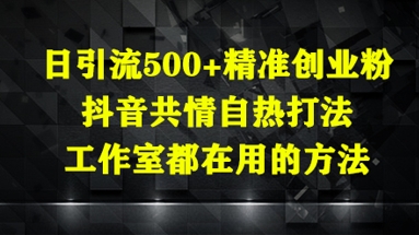 日引流500+精准创业粉，抖音共情自热打法，工作室都在用的方法-陈泽网创-资源网-最新项目分享网