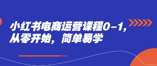 小红书电商运营课程0-1，从零开始，简单易学-陈泽网创-资源网-最新项目分享网