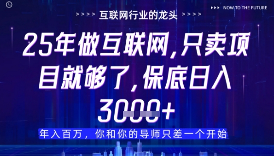 什么！25年你还在找项目做？风口早就变了，卖项目才是稳挣不赔【揭秘】-陈泽网创-资源网-最新项目分享网