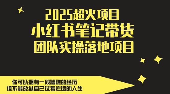 2025超火项目，副业最佳选择，小红书笔记带货团队实操落地项目，，轻松日入5张-陈泽网创-资源网-最新项目分享网