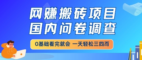 网创搬砖项目，国内问卷调查，小白轻松上手，一天三四张的也不难，干就完了【揭秘】-陈泽网创-资源网-最新项目分享网