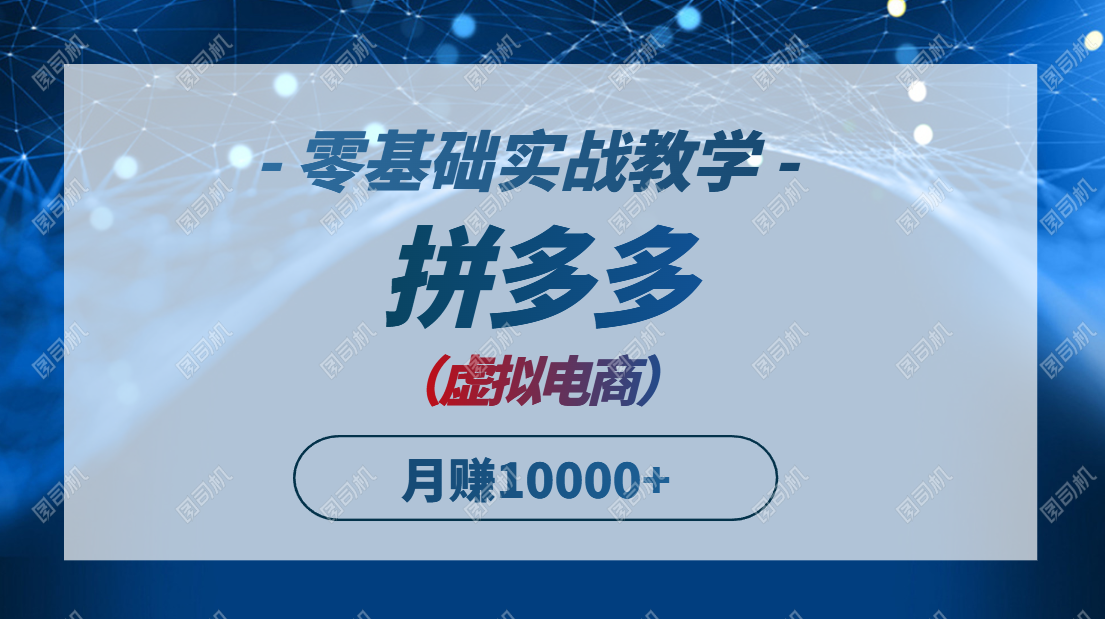 拼多多虚拟电商，零基础实战教学，快速打爆商品，新手也能月入10000+-陈泽网创-资源网-最新项目分享网