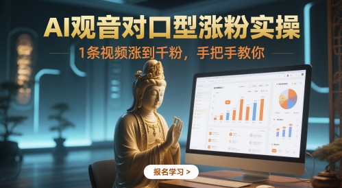 AI观音对口型涨粉实操，1条视频涨到千粉，手把手教你-陈泽网创-资源网-最新项目分享网
