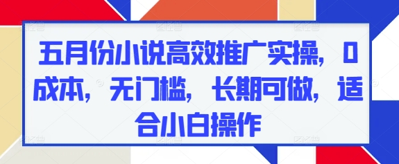 五月份小说高效推广实操，0成本，无门槛，长期可做，适合小白操作-陈泽网创-资源网-最新项目分享网
