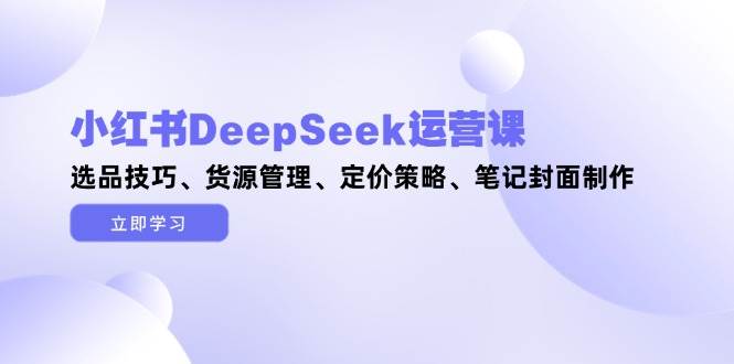 小红书DeepSeek运营课，选品技巧、货源管理、定价策略、笔记封面制作-陈泽网创-资源网-最新项目分享网