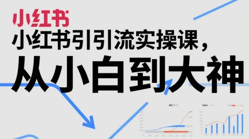 小红书引流实操课，从小白到大神-陈泽网创-资源网-最新项目分享网