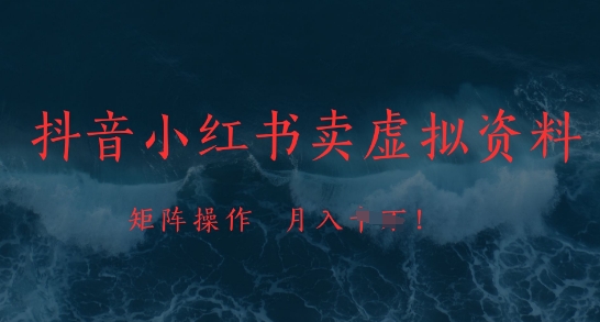 抖音小红书卖虚拟资料，市场需求一直存在，矩阵操作，月入1w+-陈泽网创-资源网-最新项目分享网