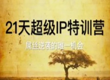 21天超级IP特训营，屌丝逆袭的唯一机会-陈泽网创-资源网-最新项目分享网