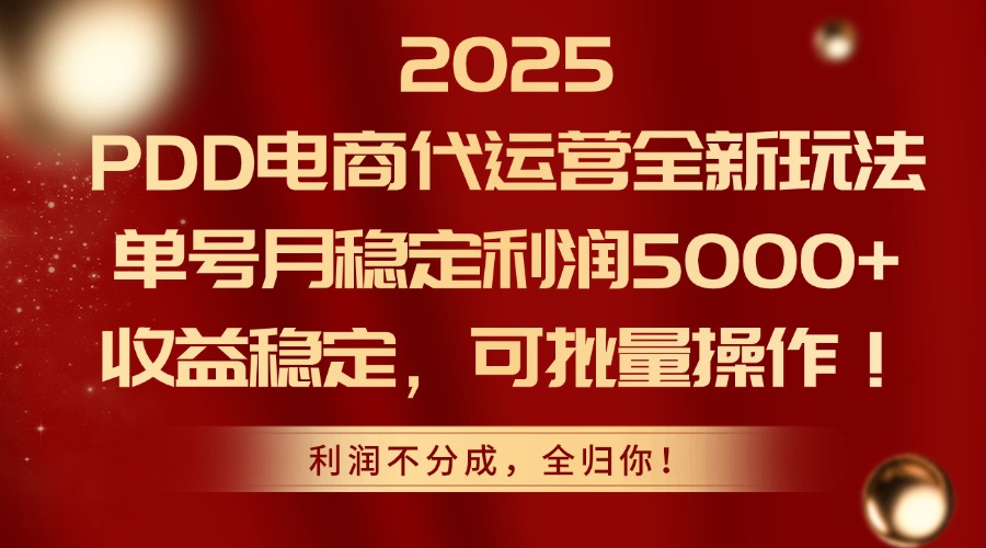 2025PDD电商代运营全新玩法，单号月稳定利润5000+，收益稳定，可批量操作-陈泽网创-资源网-最新项目分享网
