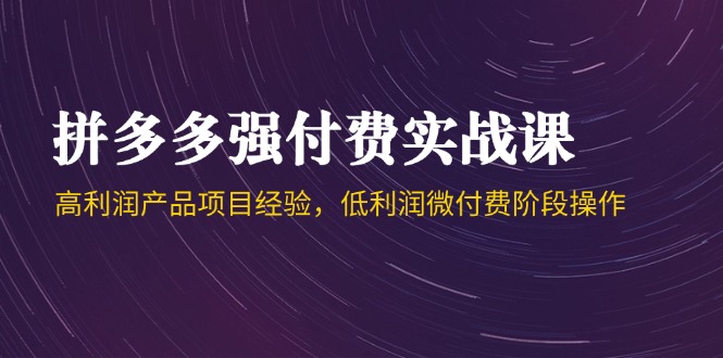 拼多多强付费实战课-44期，高利润产品项目经验，低利润微付费阶段操作-陈泽网创-资源网-最新项目分享网