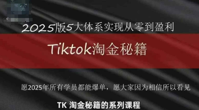 TikTok跨境2025淘金秘籍，​2025TikTok从0到盈利变现-陈泽网创-资源网-最新项目分享网