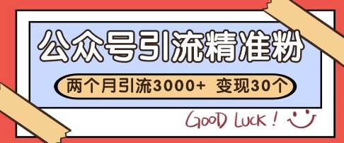 公众号精准粉引流玩法，2个月3000+精准粉，变现30个W【揭秘】-陈泽网创-资源网-最新项目分享网