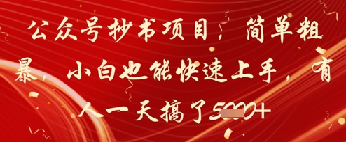 公众号抄书项目，简单粗暴，小白也能快速上手，有人一天搞了1k+-陈泽网创-资源网-最新项目分享网
