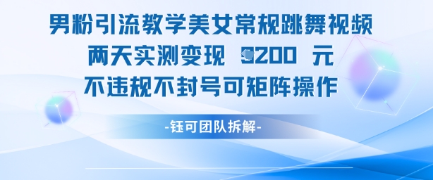 男粉引流教学美女常规跳舞视频两天实测变现1k+，不违规不封号可矩阵操作-陈泽网创-资源网-最新项目分享网