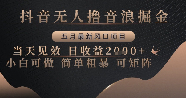 抖音无人撸音浪掘金，五月最新风口项目，当天见效，日收益多张，小白可做简单粗暴可矩阵【揭秘】-陈泽网创-资源网-最新项目分享网