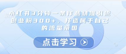 小红书3分钟一条作品精准引流创业粉300+，打造属于自己的流量帝国-陈泽网创-资源网-最新项目分享网